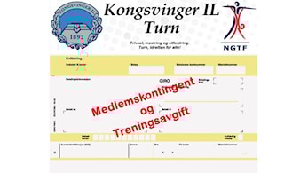 Medlemskontingent og treningsavgift